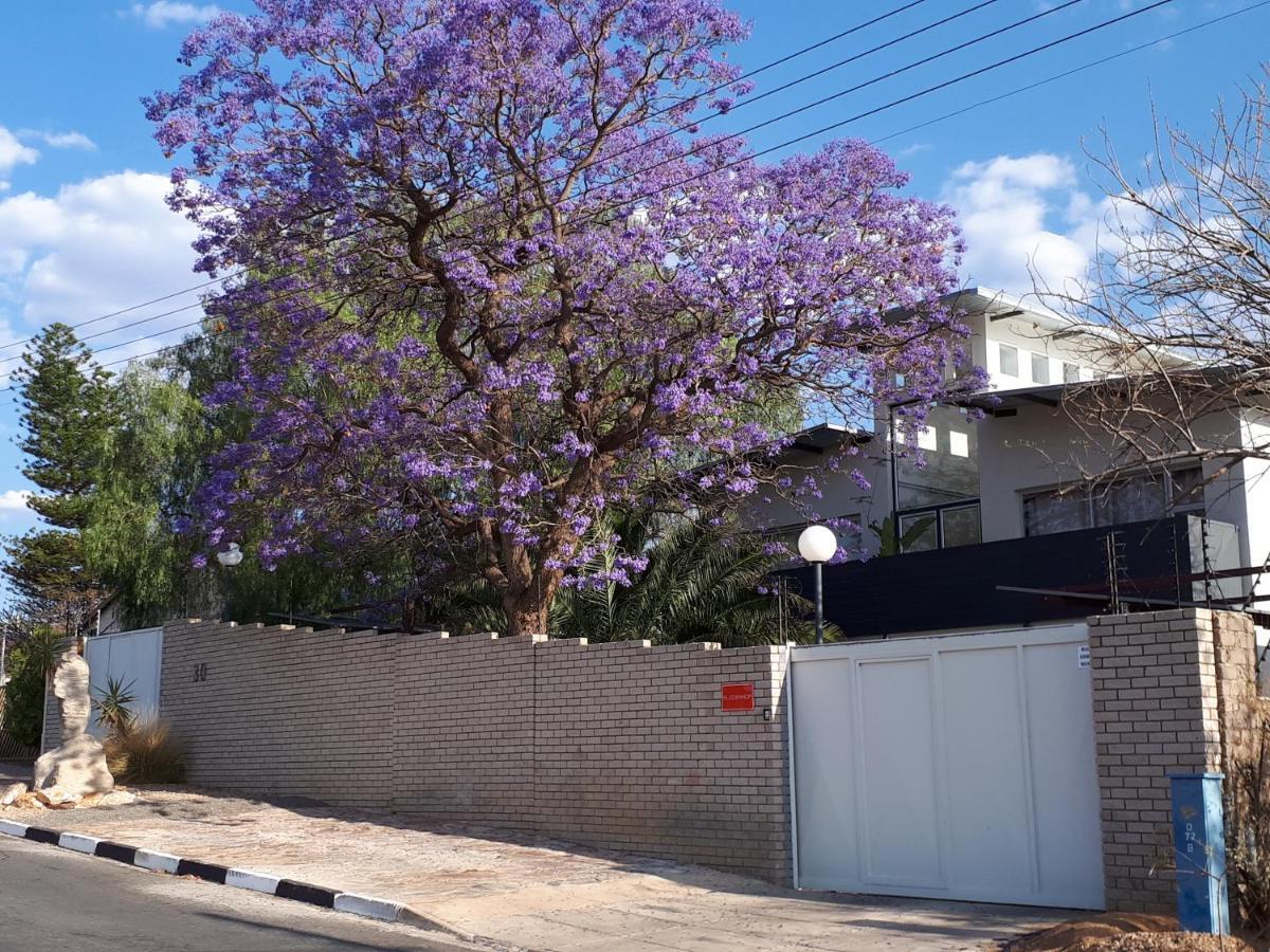 Suiderhof Self-Catering Hotel Windhoek Eksteriør billede
